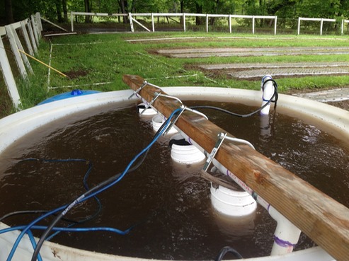 manure tea brewer